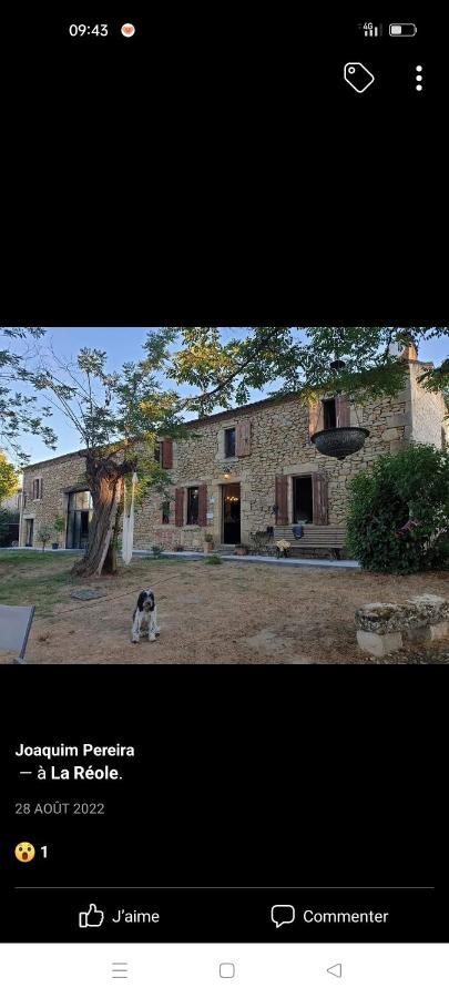 Chambres 2 Personnes Dans Notre Maison Girondine Saint-Martin-de-Lerm Extérieur photo